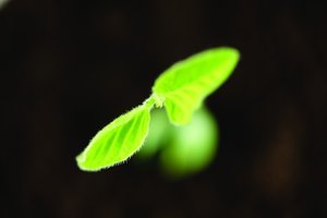 熔断降级行业标准解读
